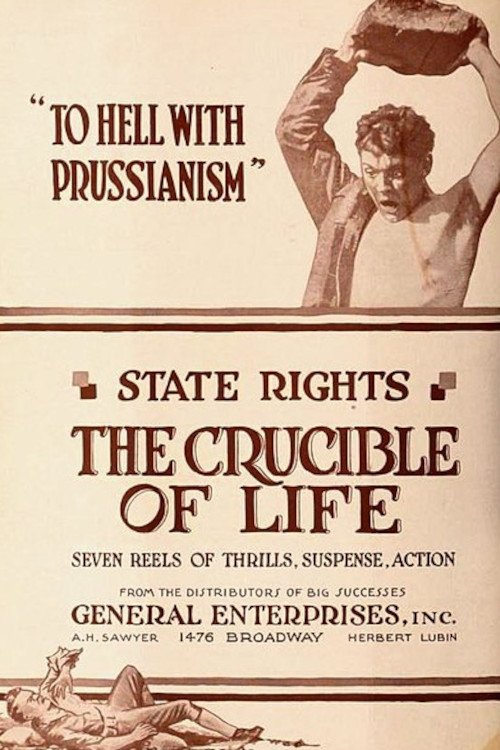 Poster de The Crucible of Life