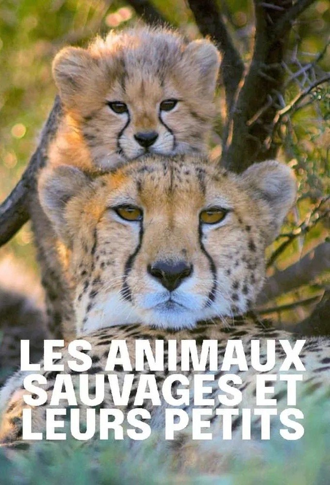 Poster de Tierkinder der Wildnis