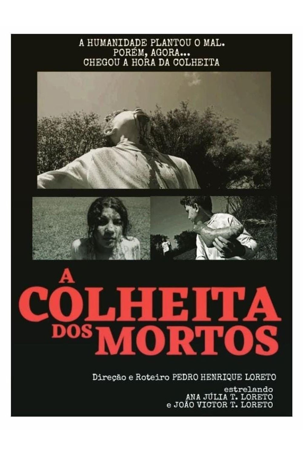 Poster de A Colheita dos Mortos