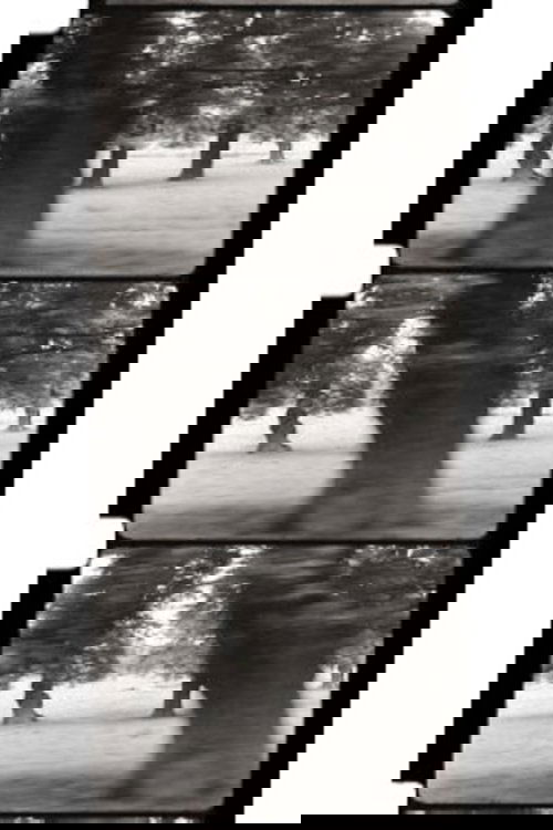 Motion Parallax