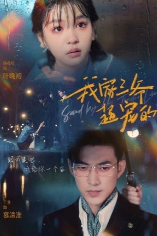 Poster de 我家三爷超宠的