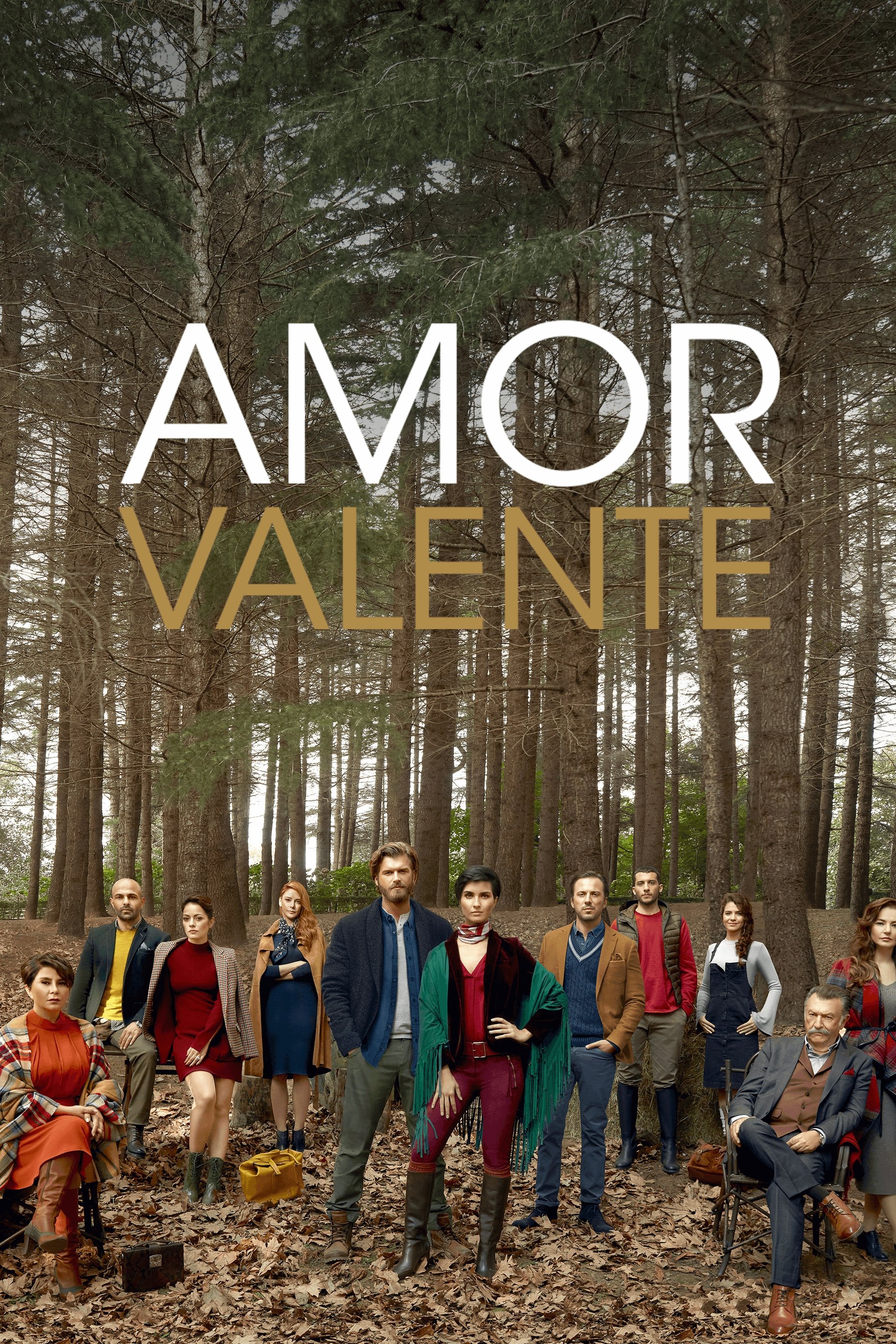 Poster de O Bravo e a Bela