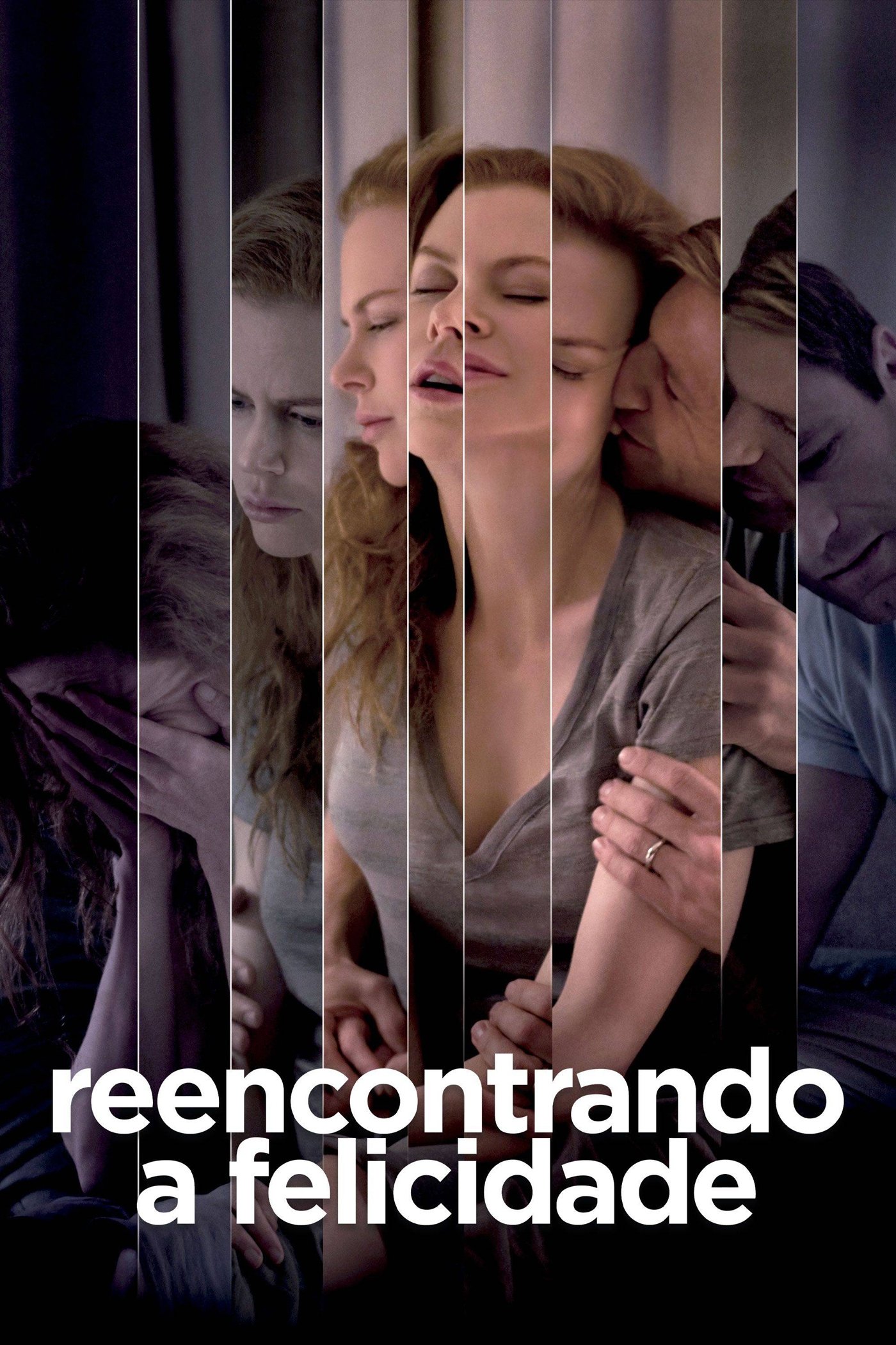 Poster de Reencontrando a Felicidade