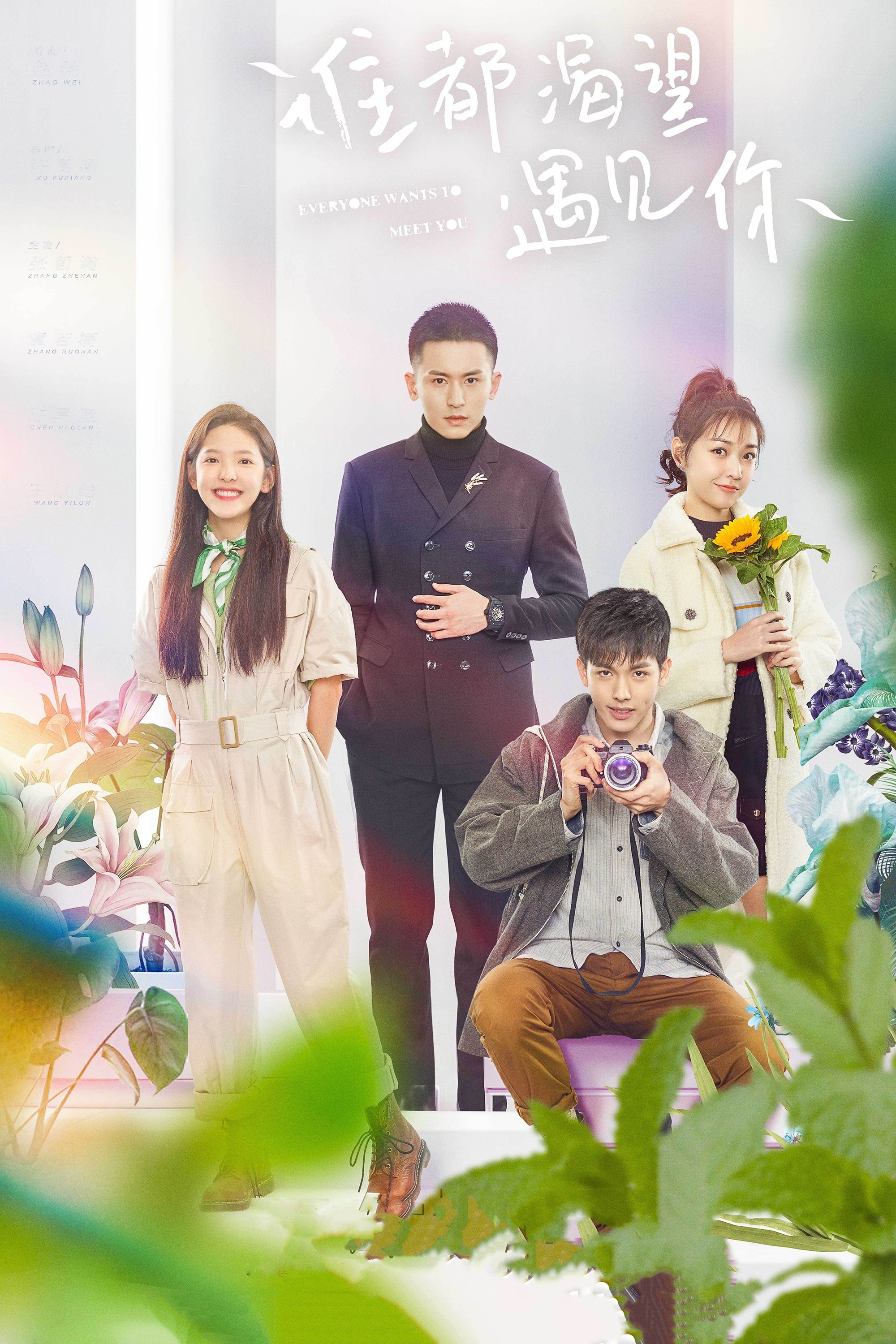 Poster de Everyone Wants To Meet You
