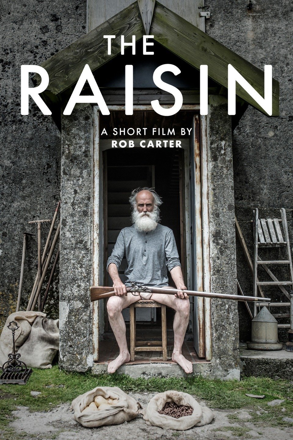 Poster de The Raisin
