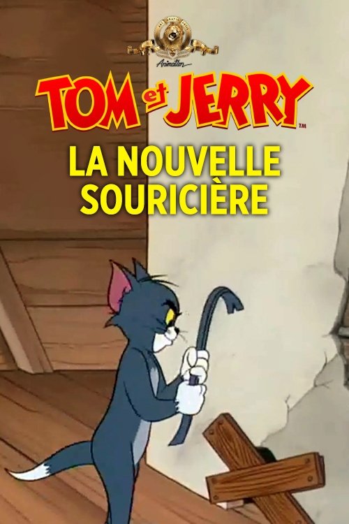 La nouvelle souricière
