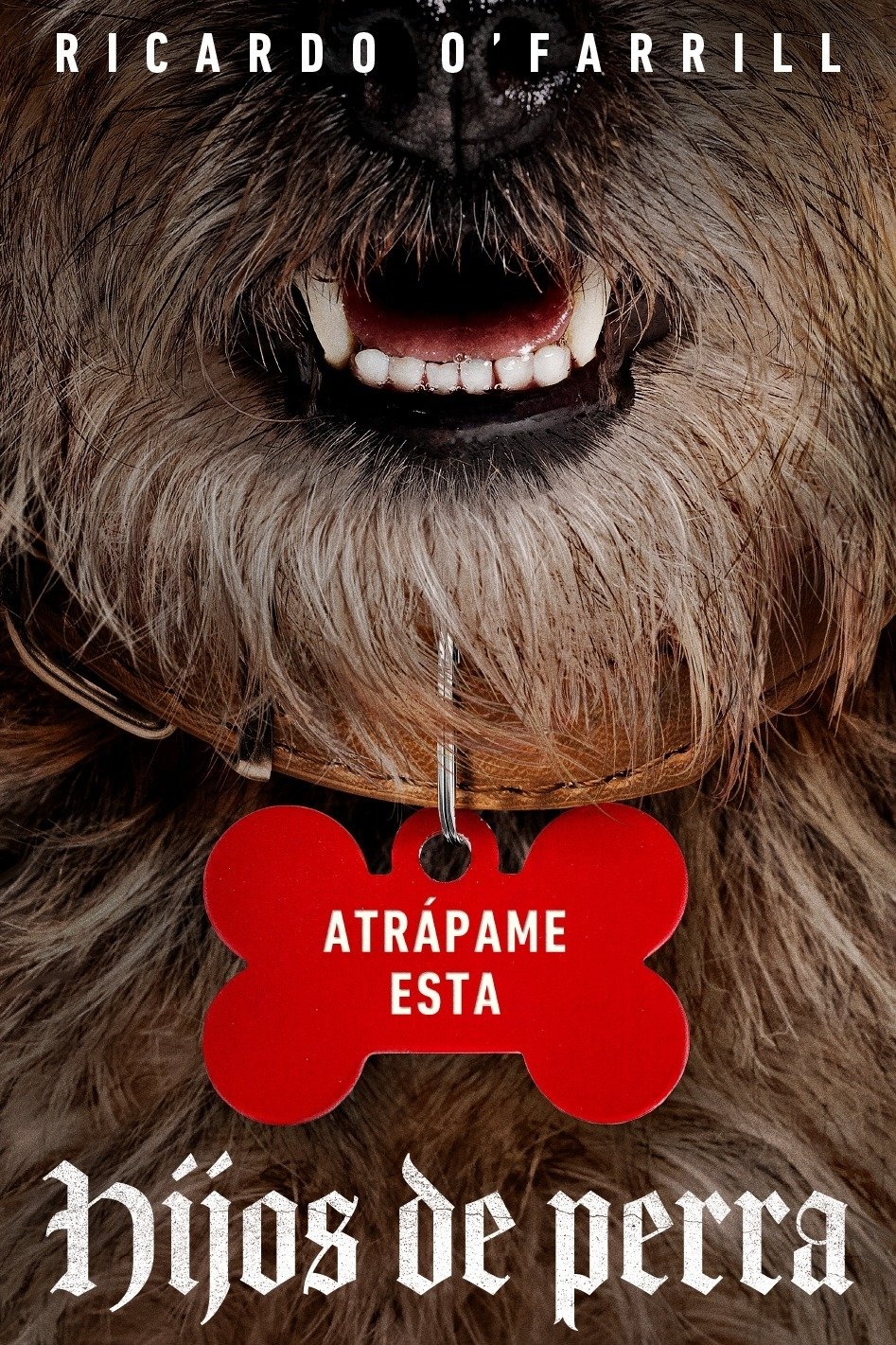 Strays poster Strays poster
