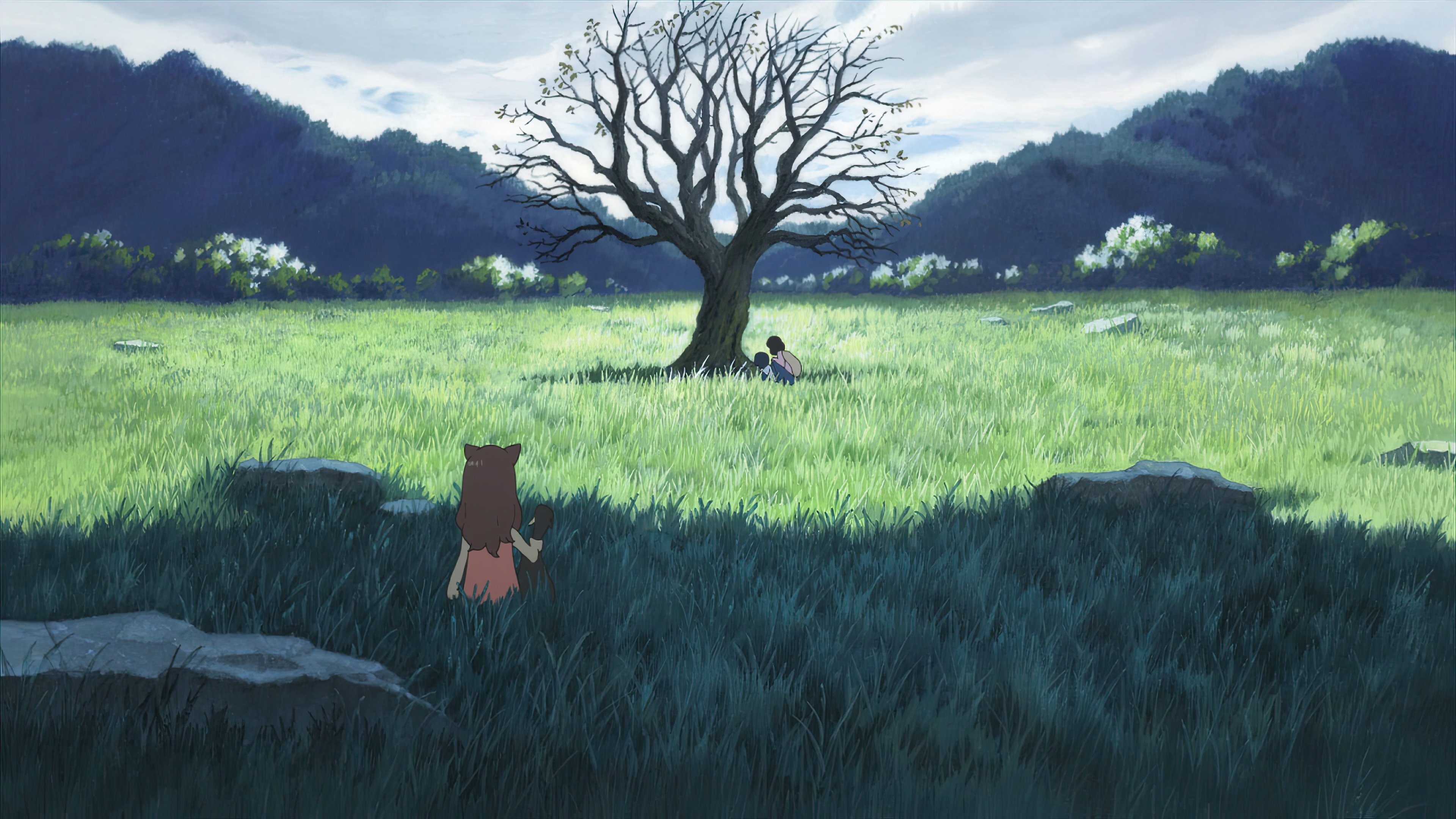 Backdrop image