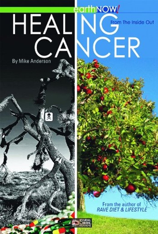 Poster de Healing Cancer From The Inside Out