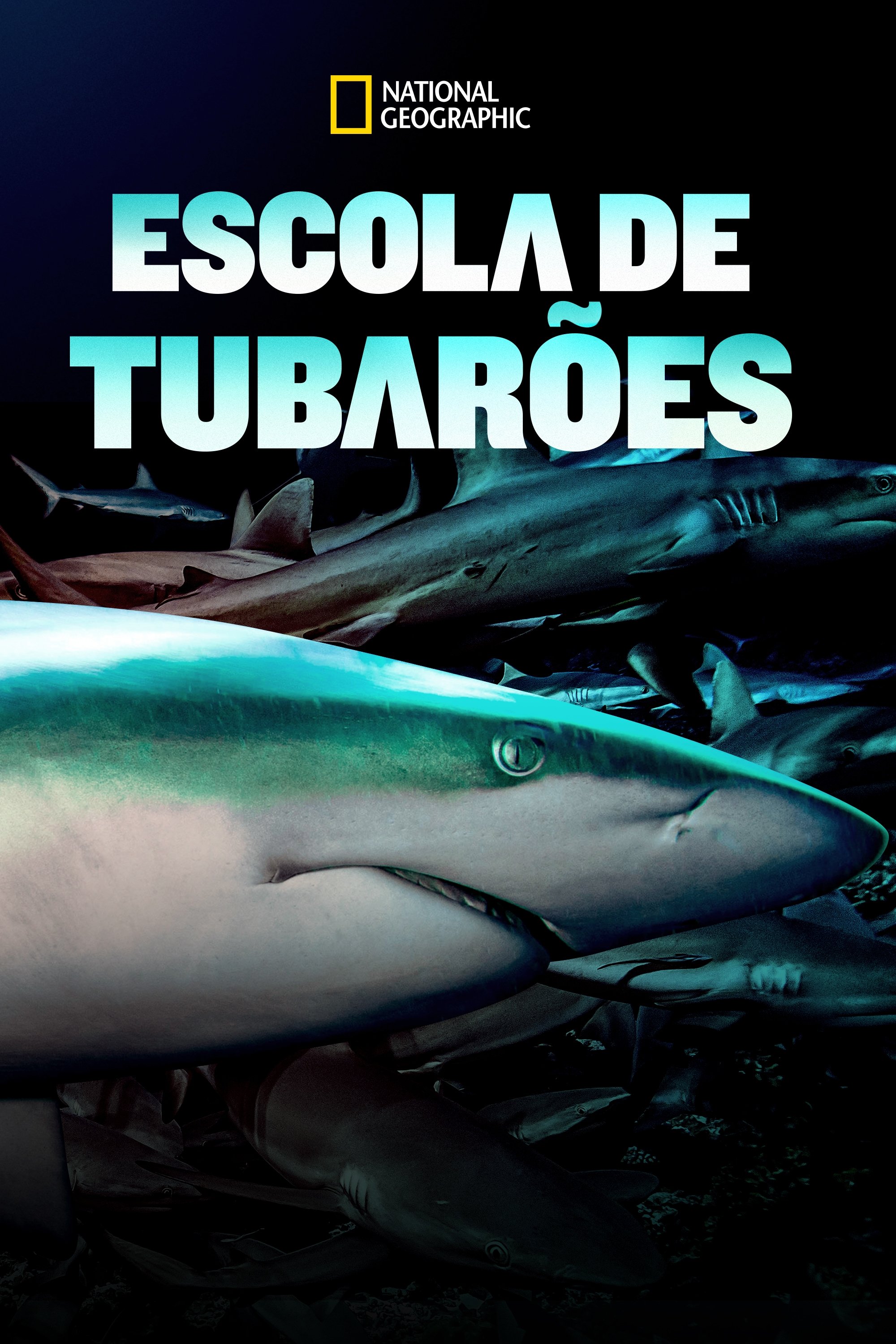 Poster de Escola de Tubarões