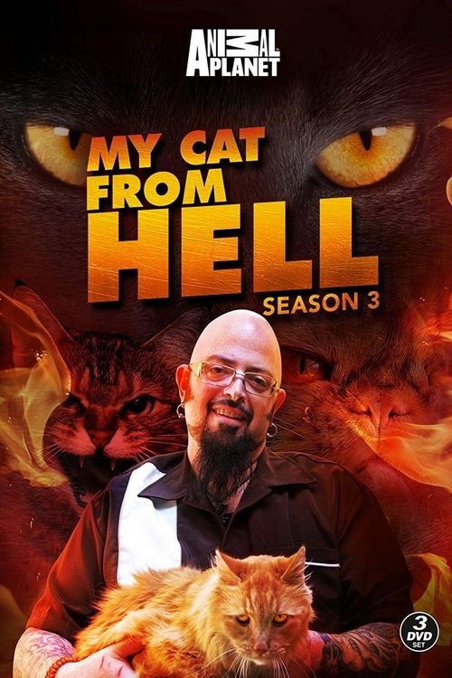 Poster de Temporada 3