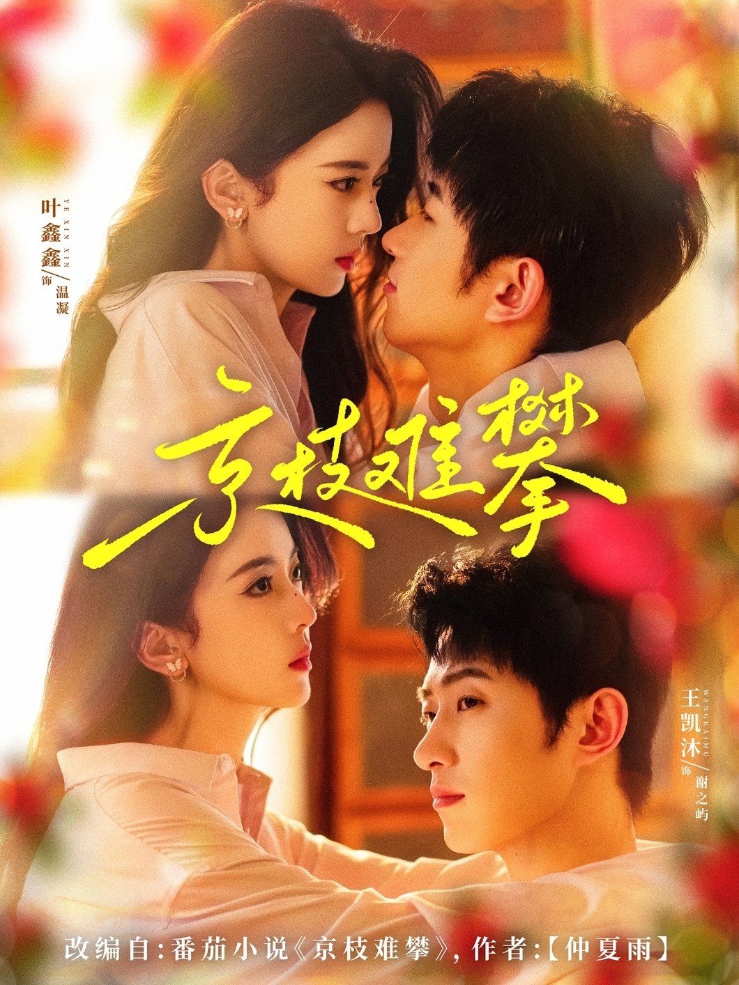 Poster de 京枝难攀