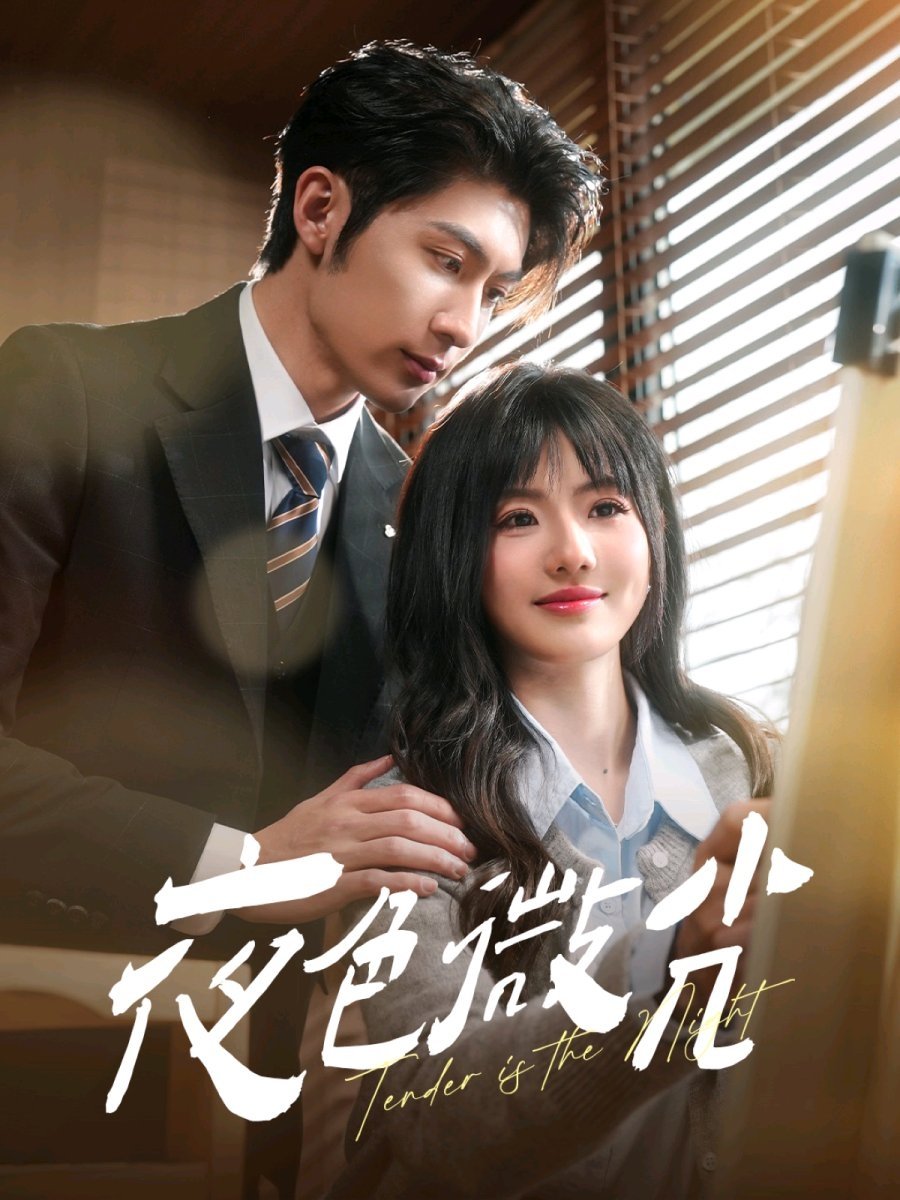 Poster de 夜色微光