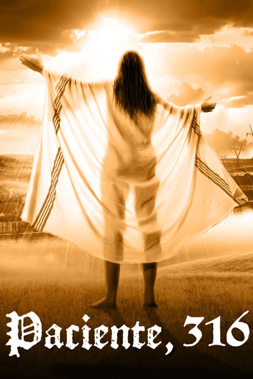 Poster de Paciente, 316