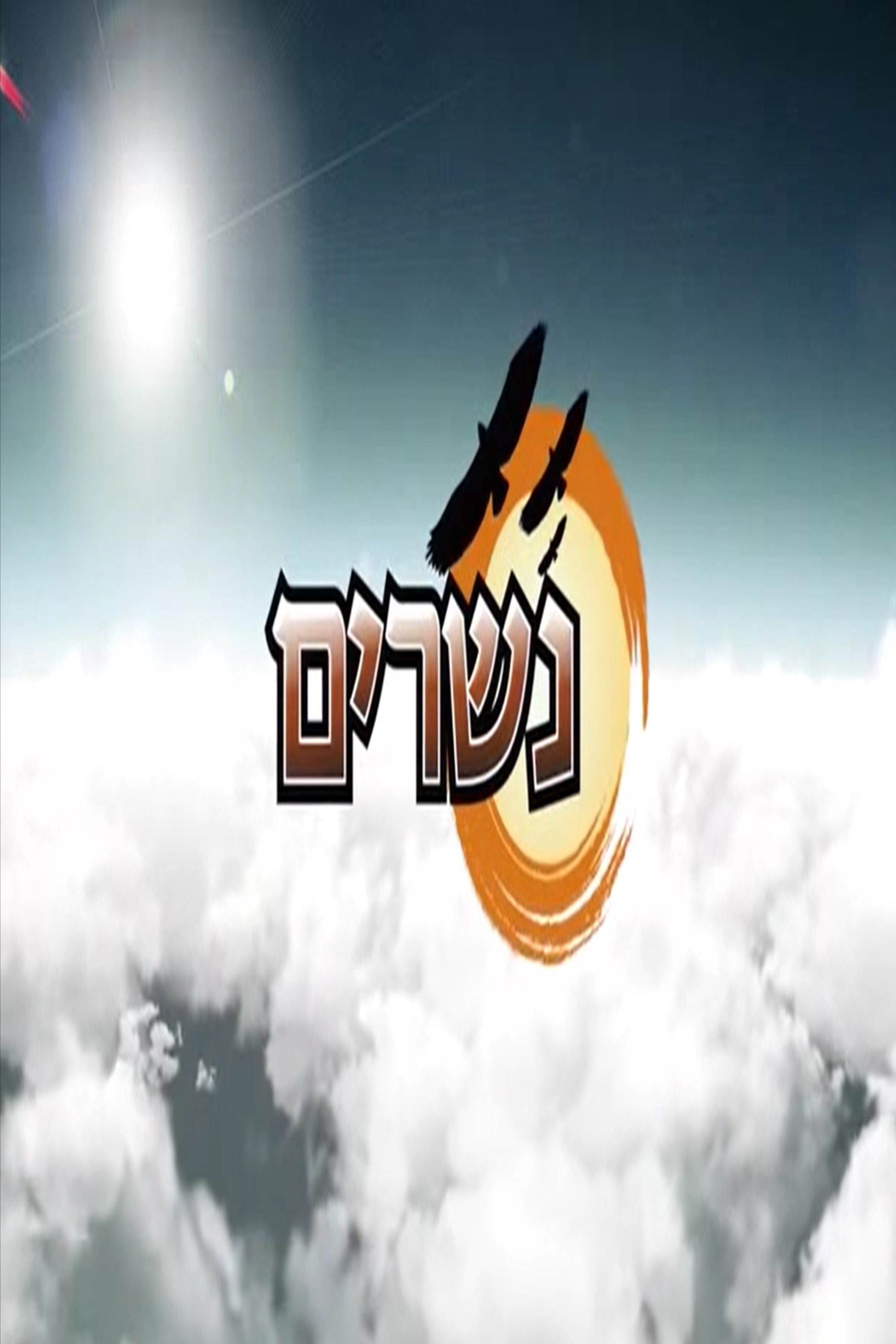 Poster de נשרים