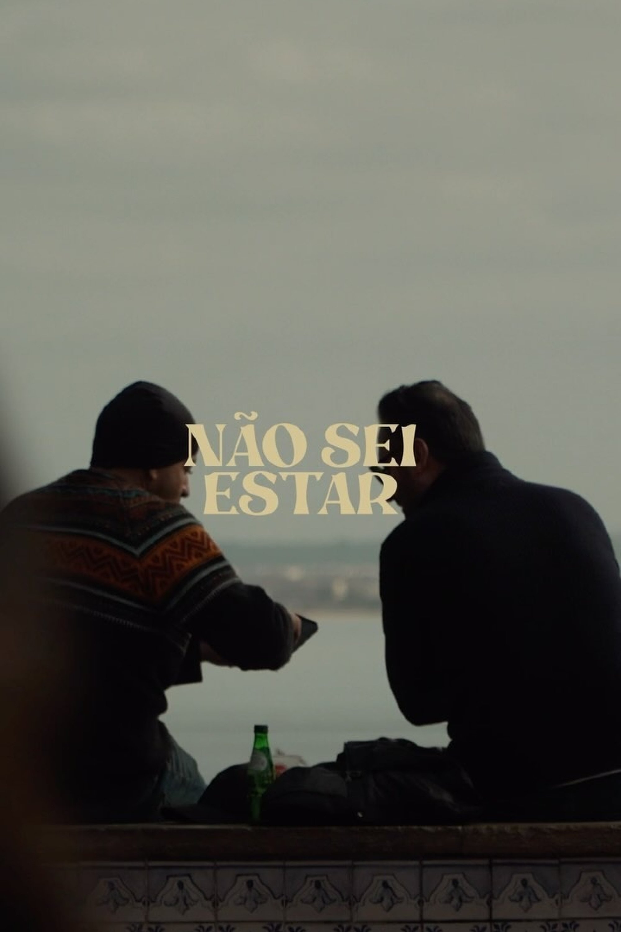 Poster de Não Sei Estar