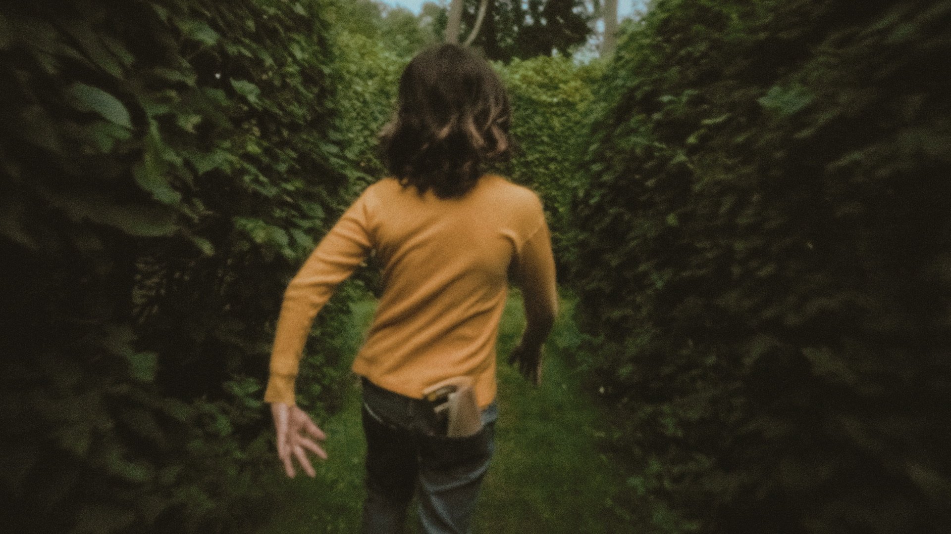 Backdrop image for In and Out of the Hornbeam Maze