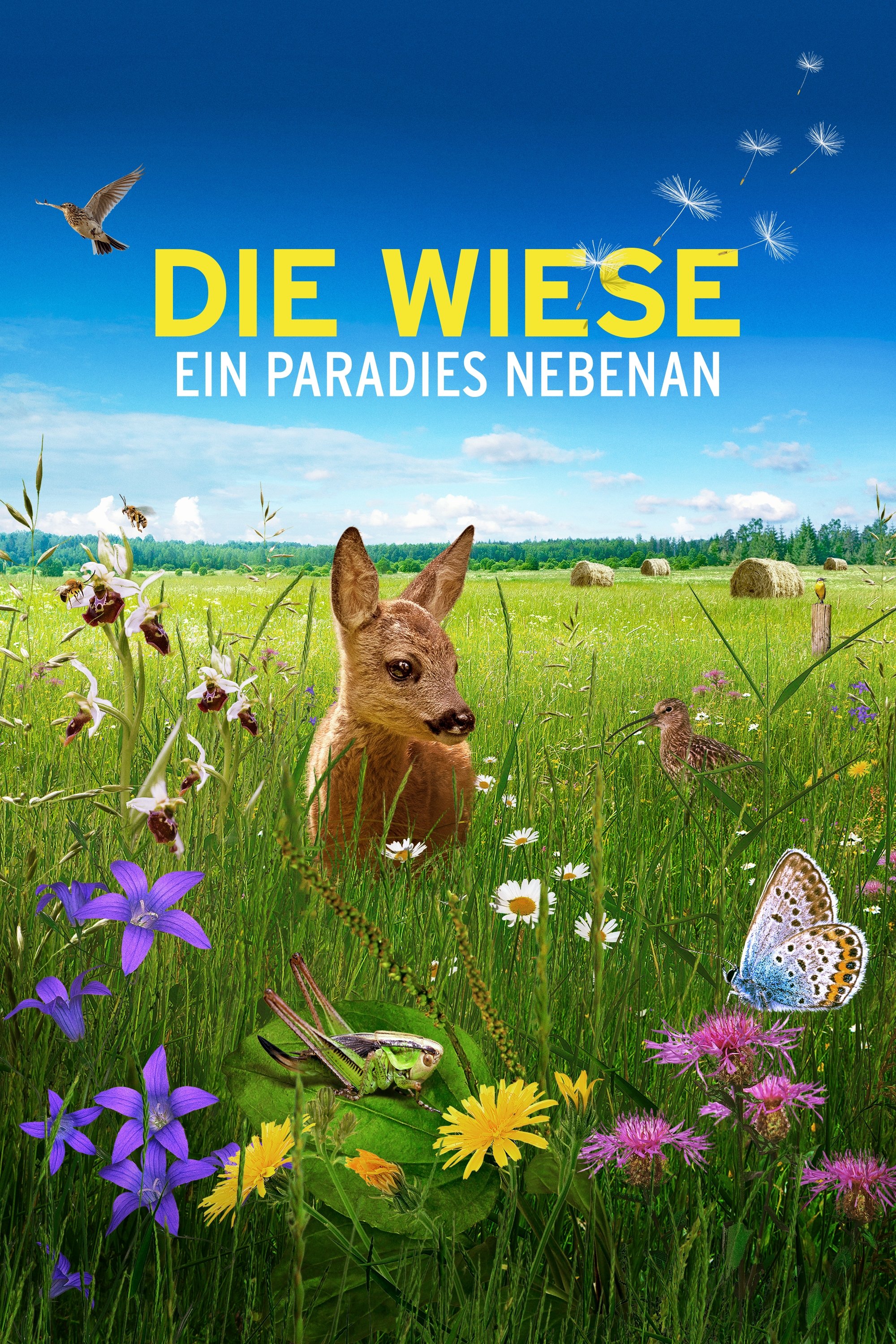 Poster for Die Wiese: Ein Paradies nebenan