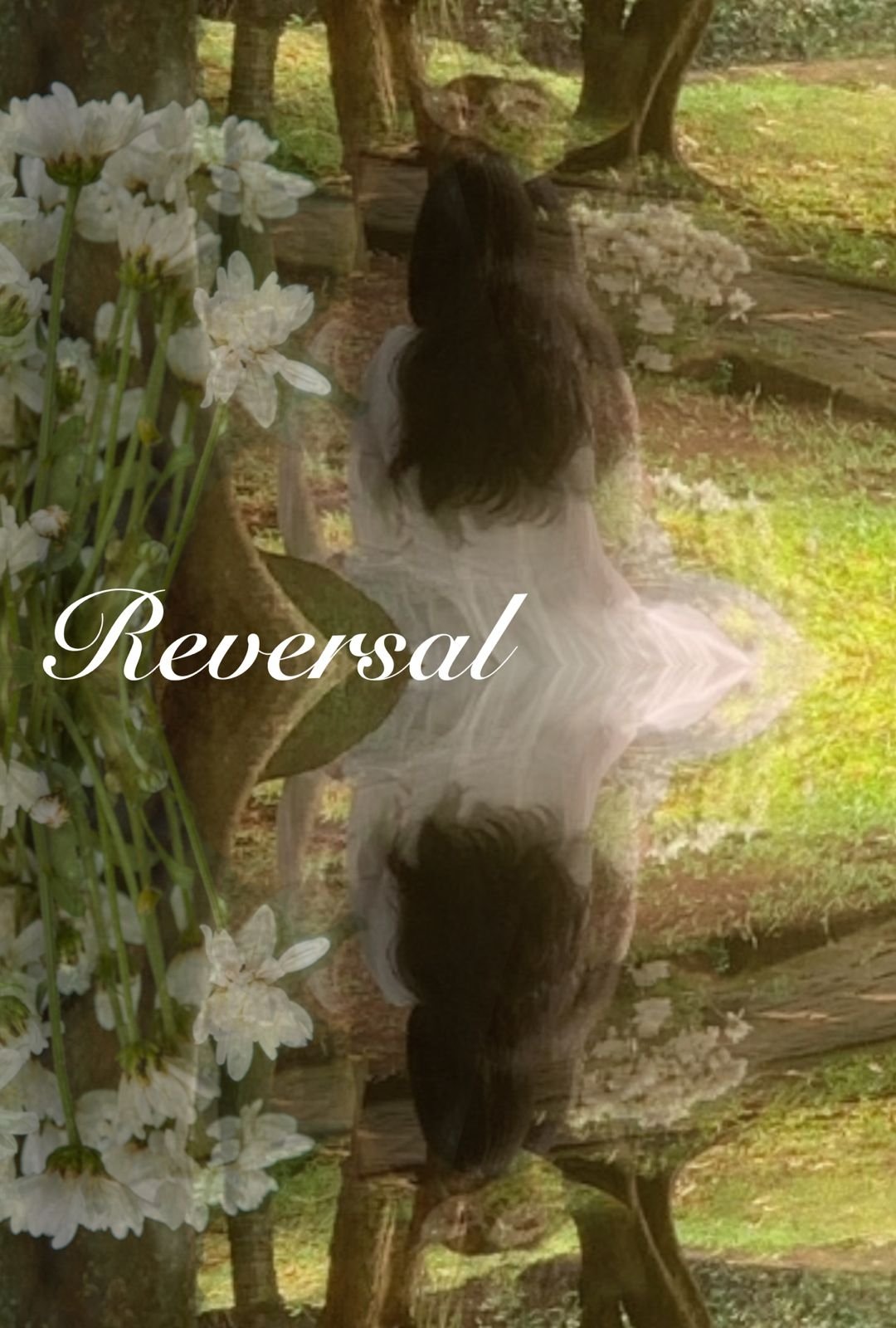 Poster de Reversal