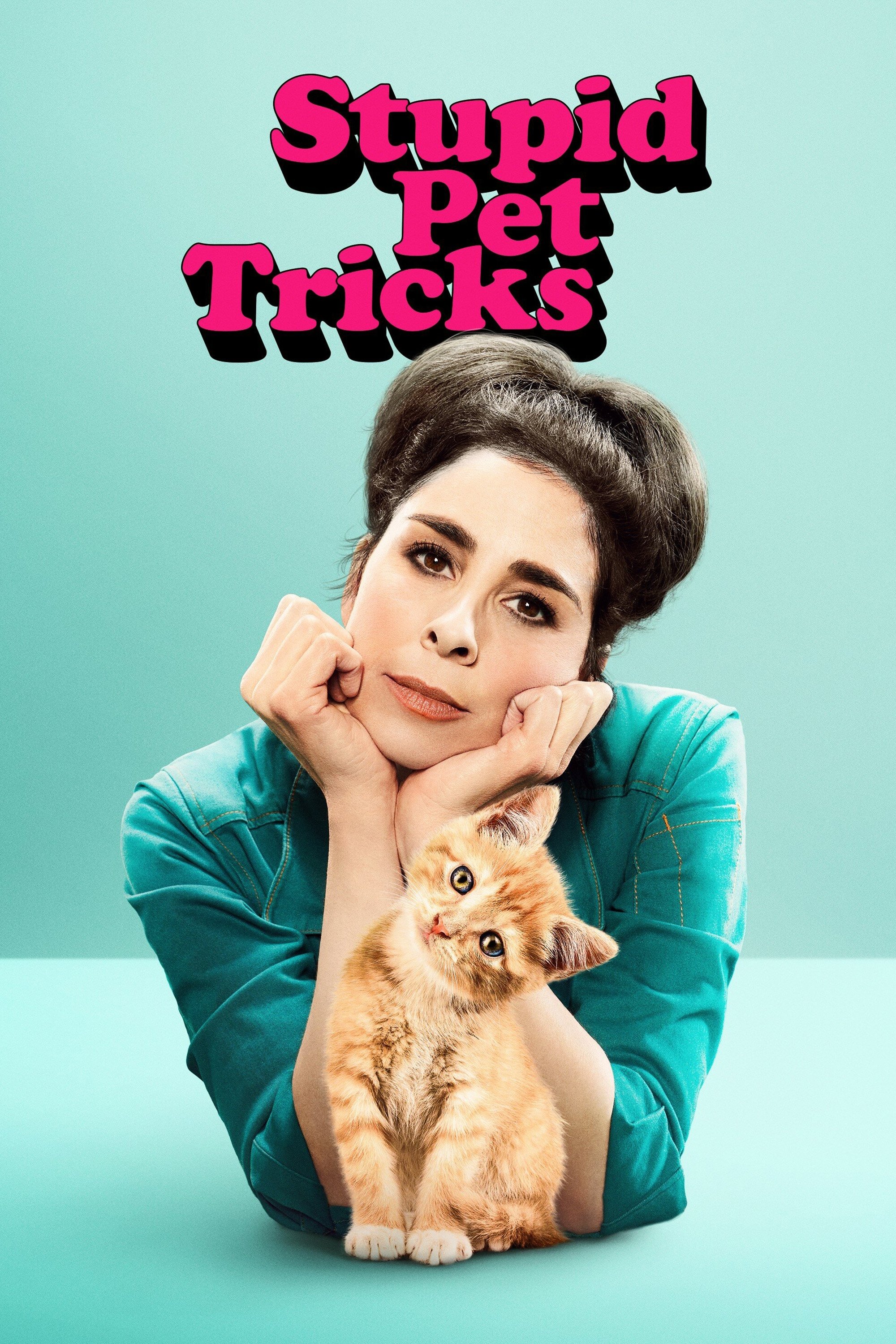 Poster de Stupid Pet Tricks