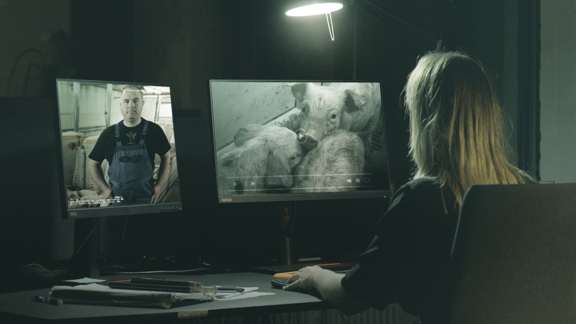 Hvem passer på grisene?