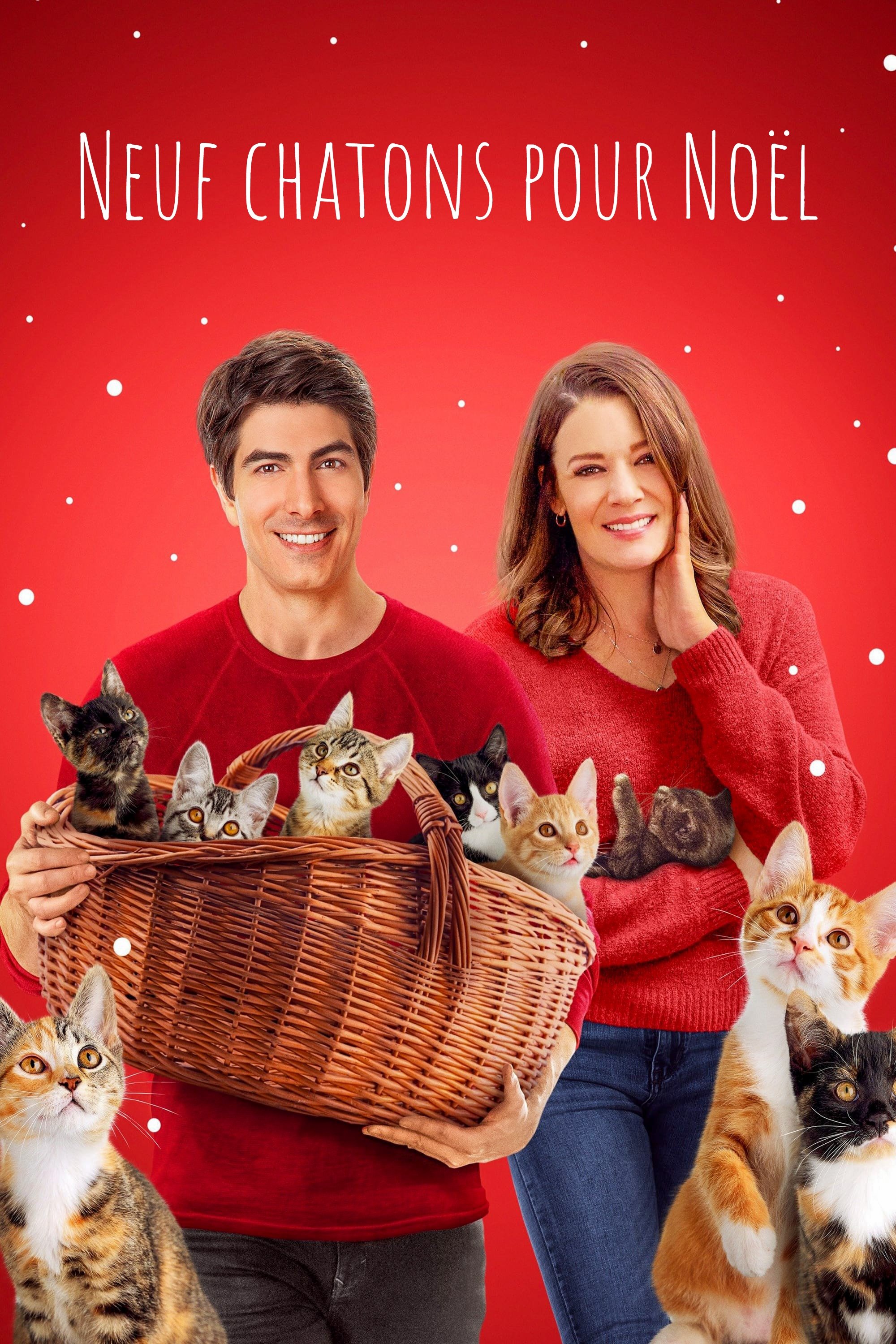 Affiche du film Neuf chatons pour Noël