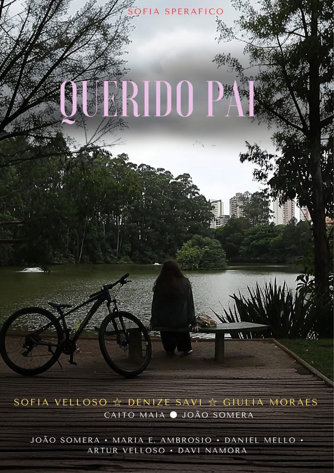 Poster de Querido Pai
