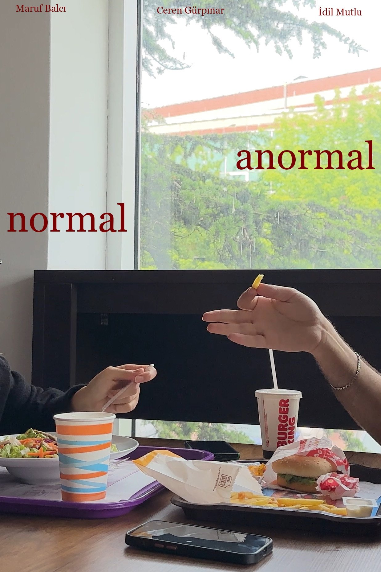 Poster de Anormal, Normal