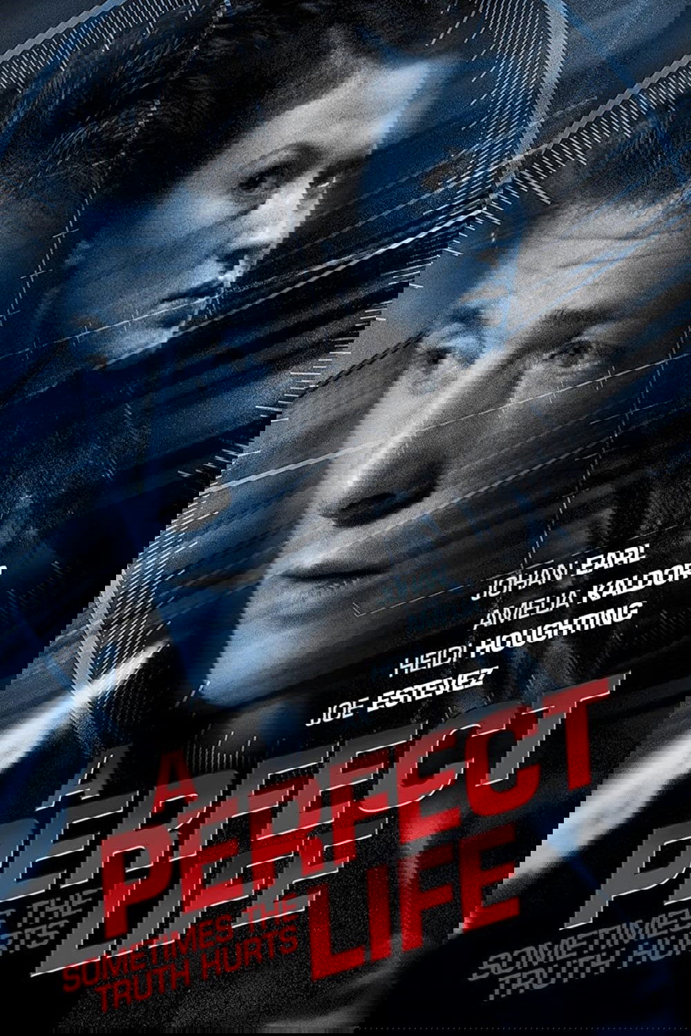 Poster de A Perfect Life