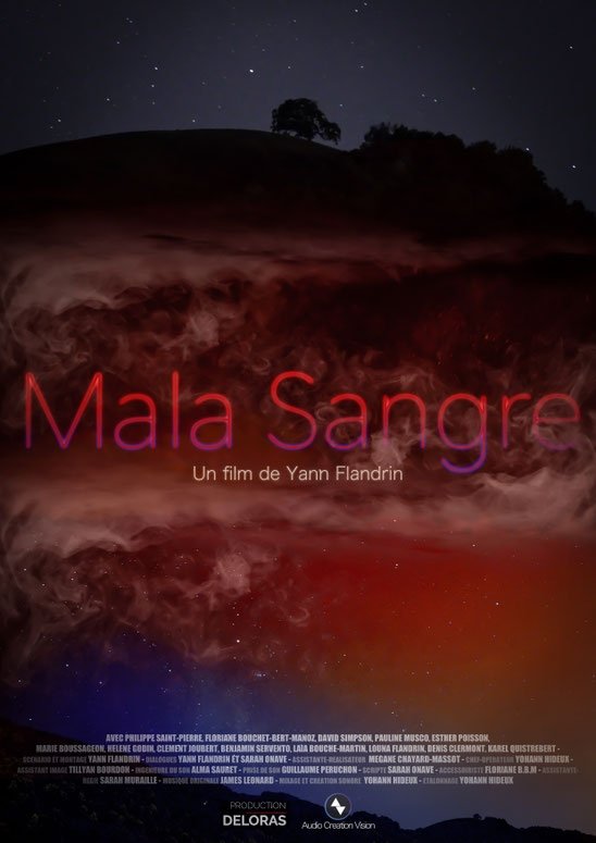 Poster de Mala Sangre