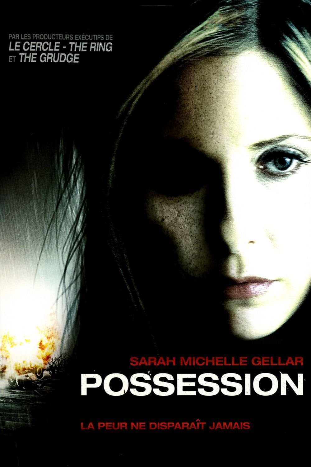 Affiche du film Possession