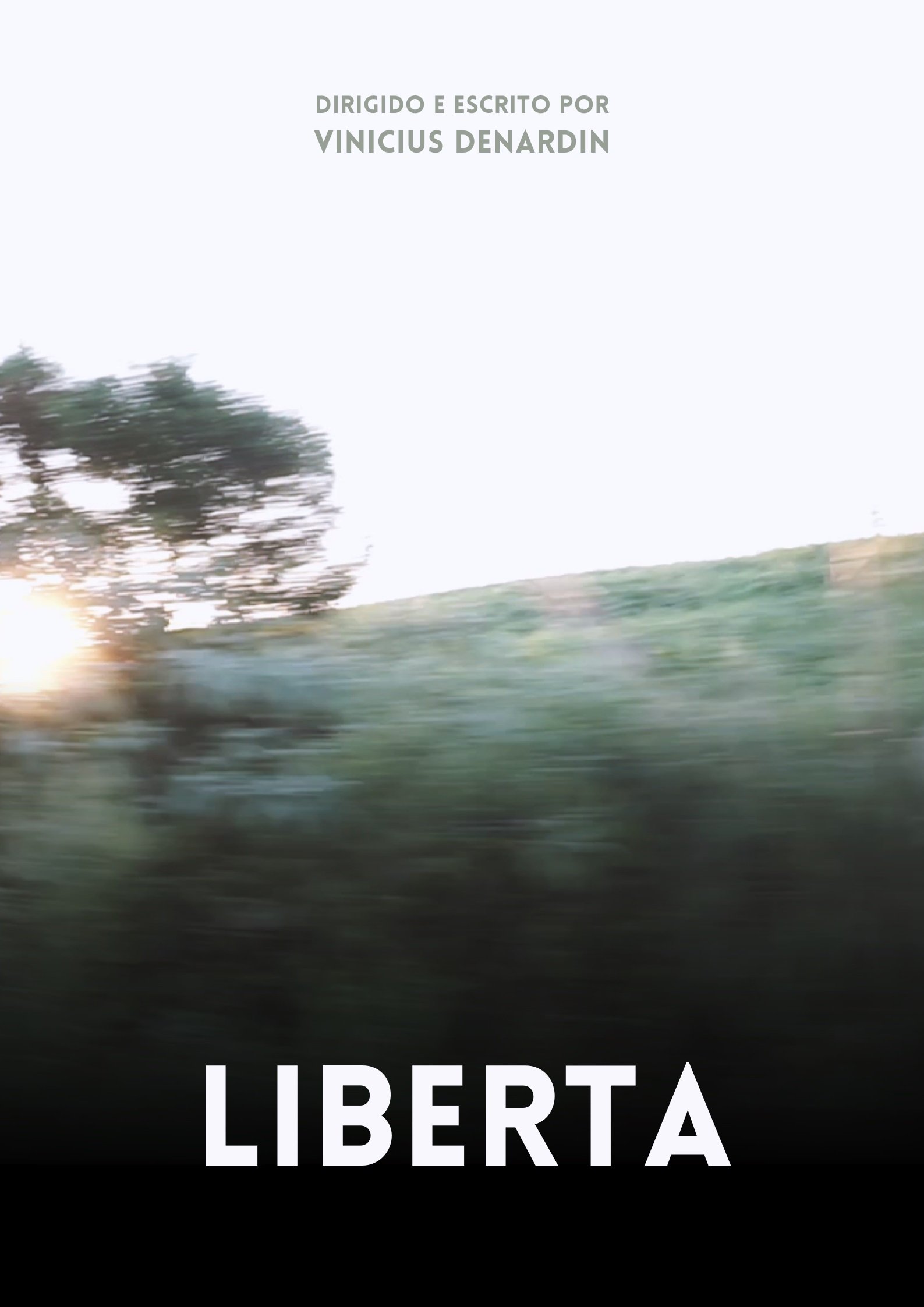 Poster de Liberta