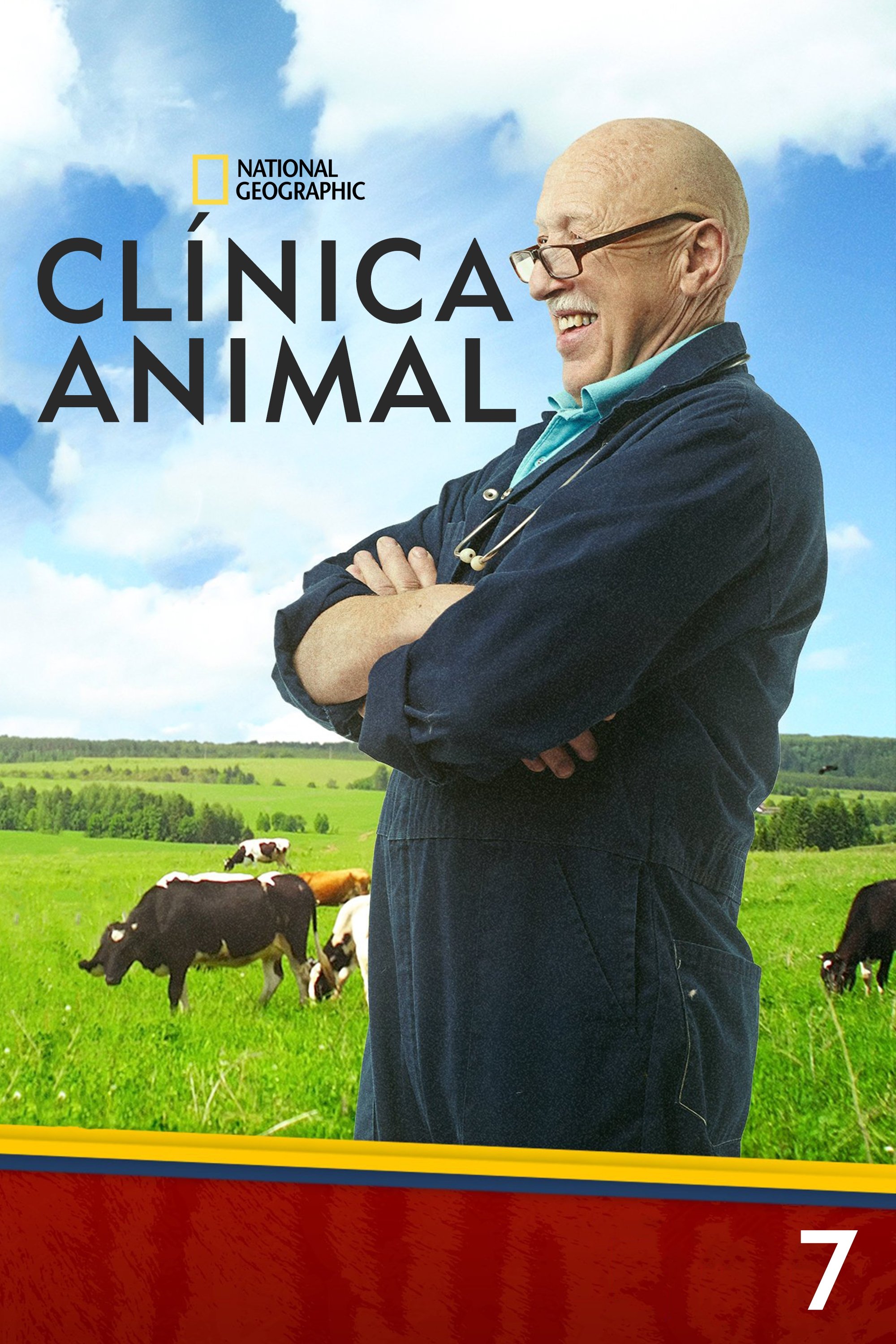 Poster de Temporada 7