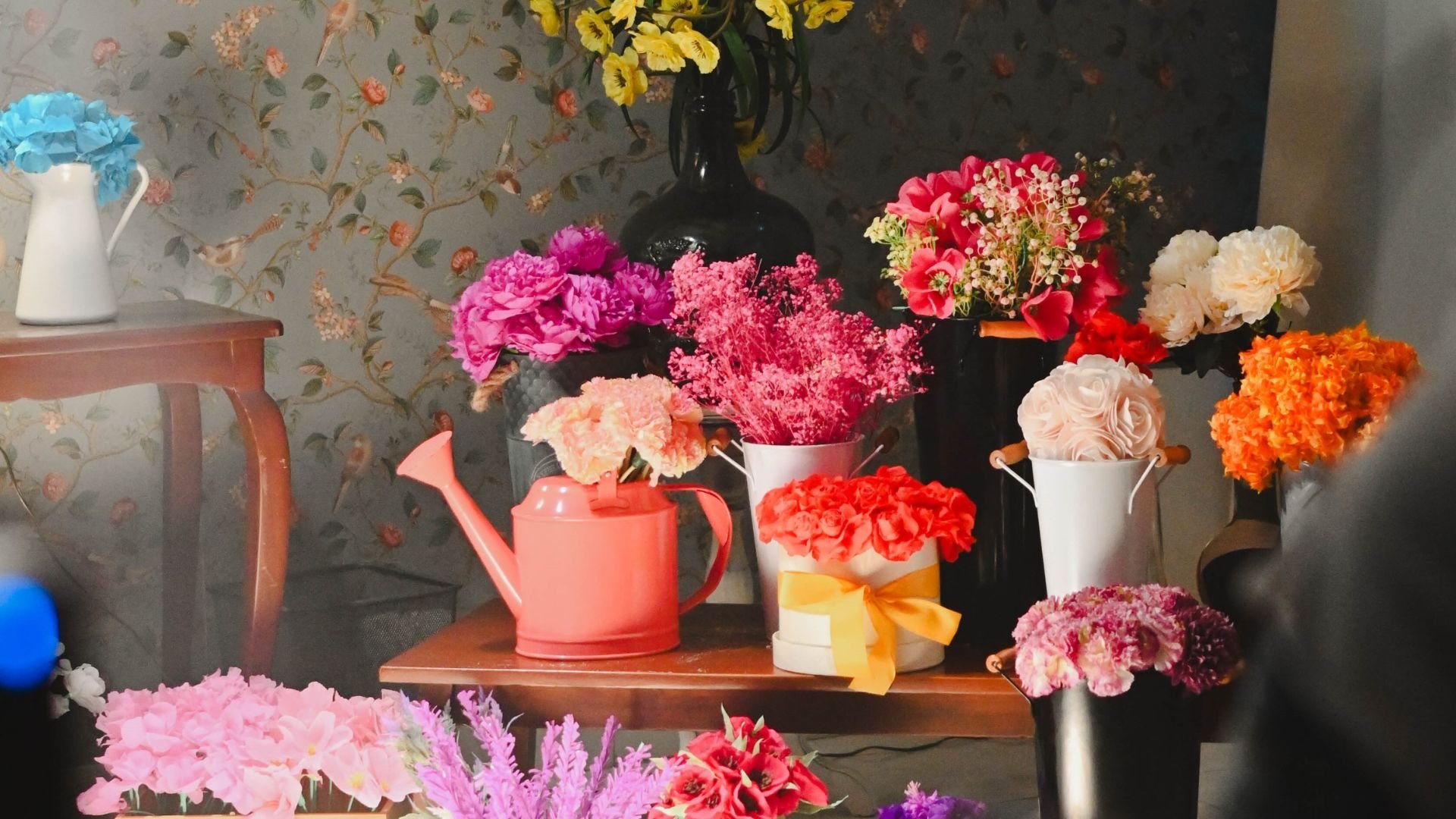 Backdrop image