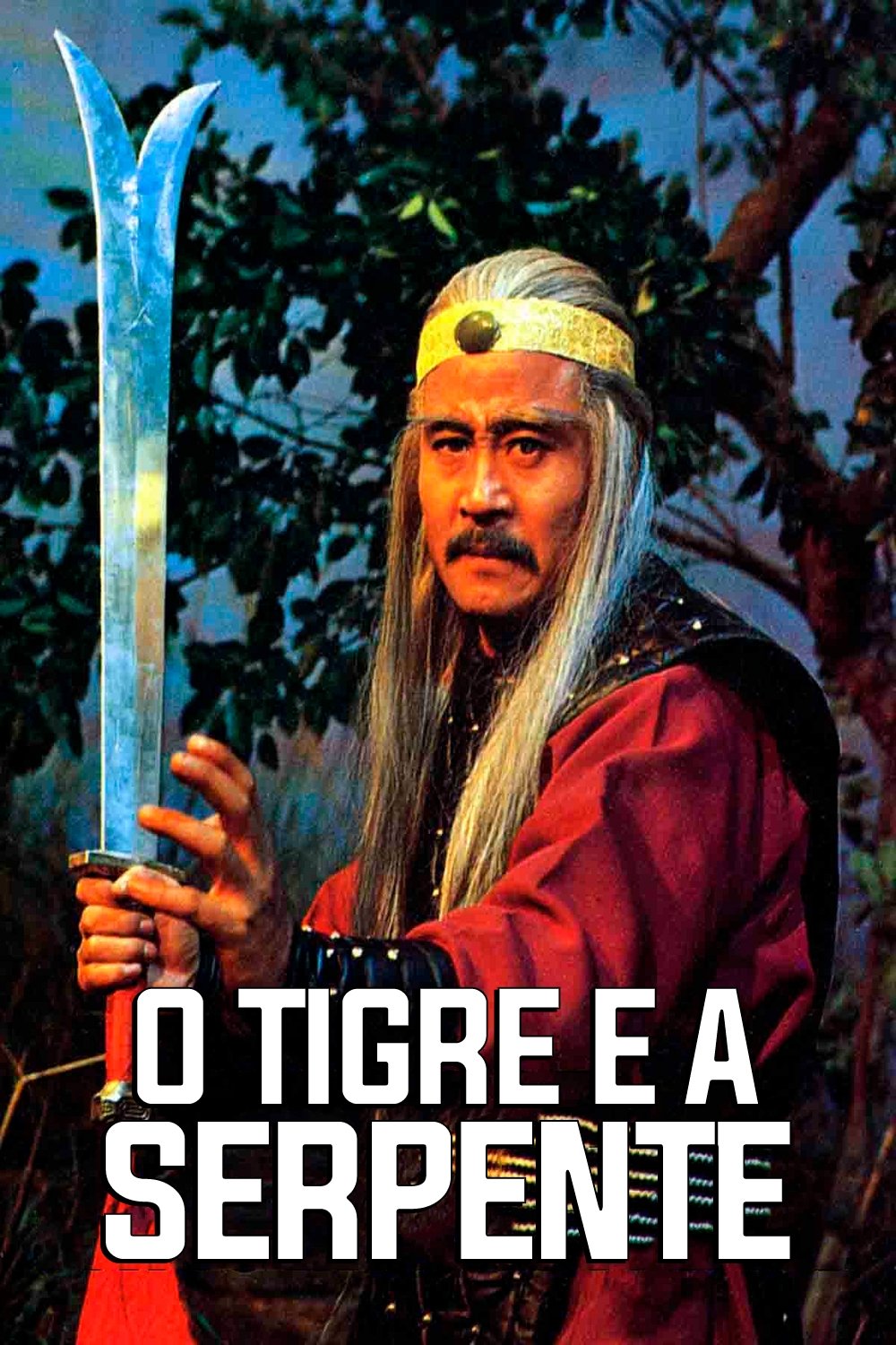 Poster de O Tigre e a Serpente
