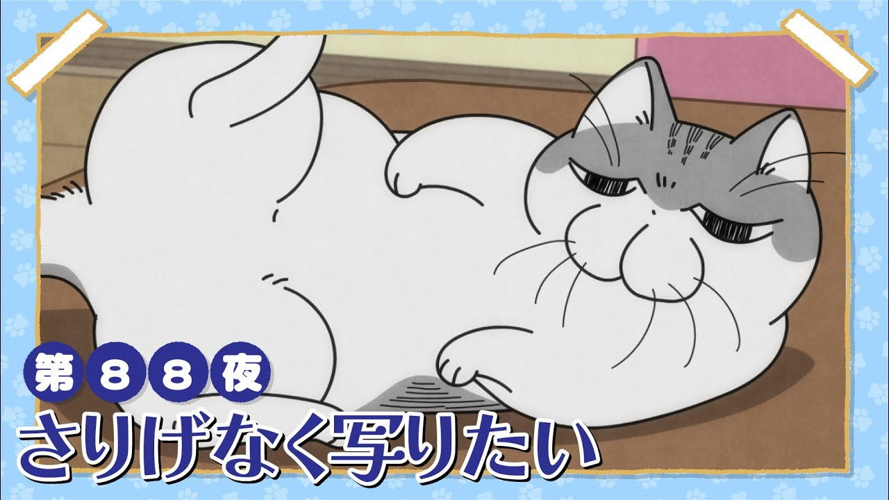 Night 88: He Wants to Sneak Into the Shot