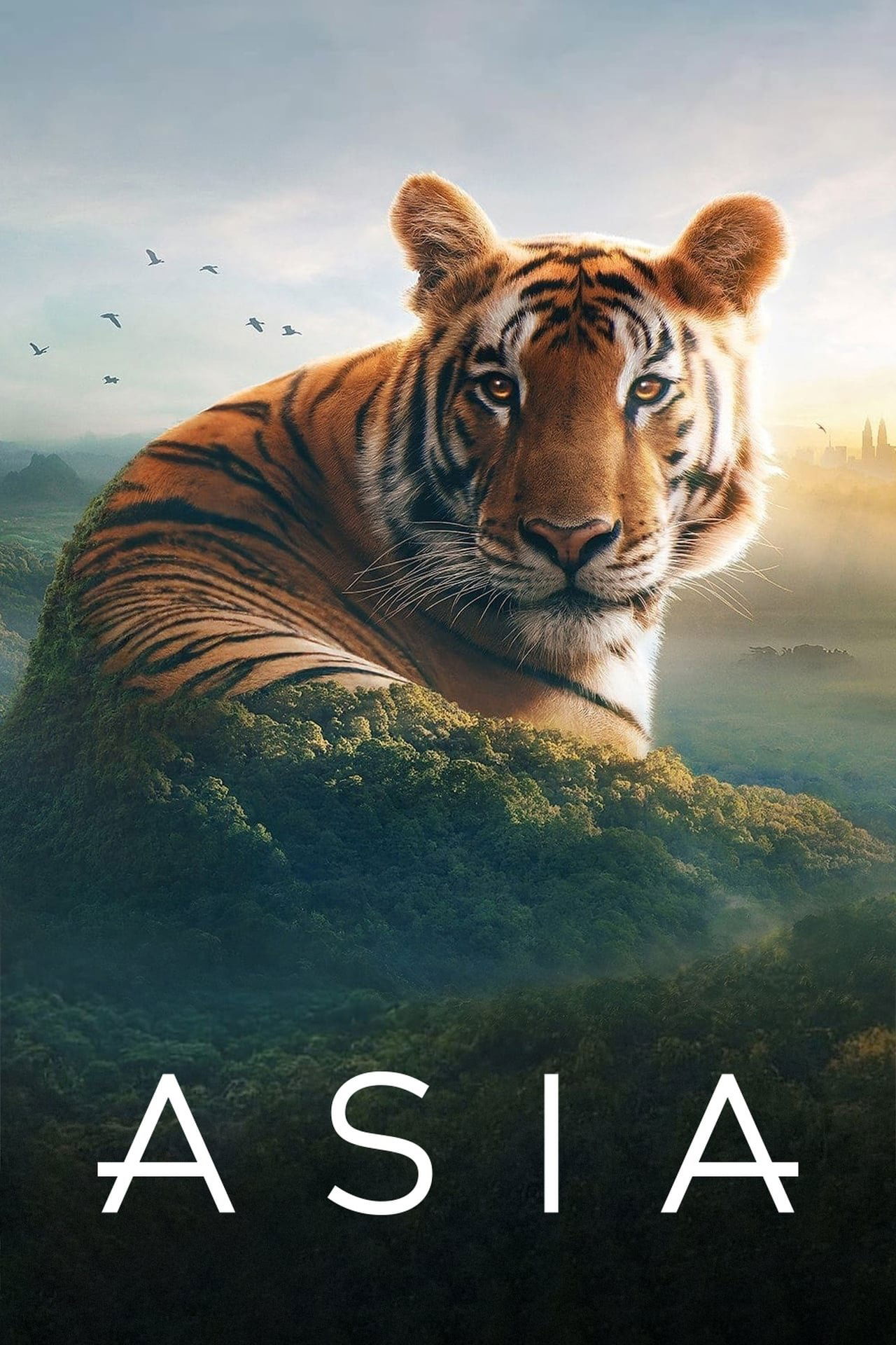 Poster de Temporada 1