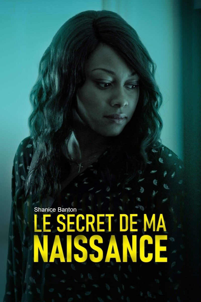Affiche du film Her Stolen Past