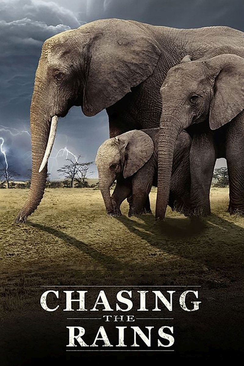 Poster de Chasing the Rains