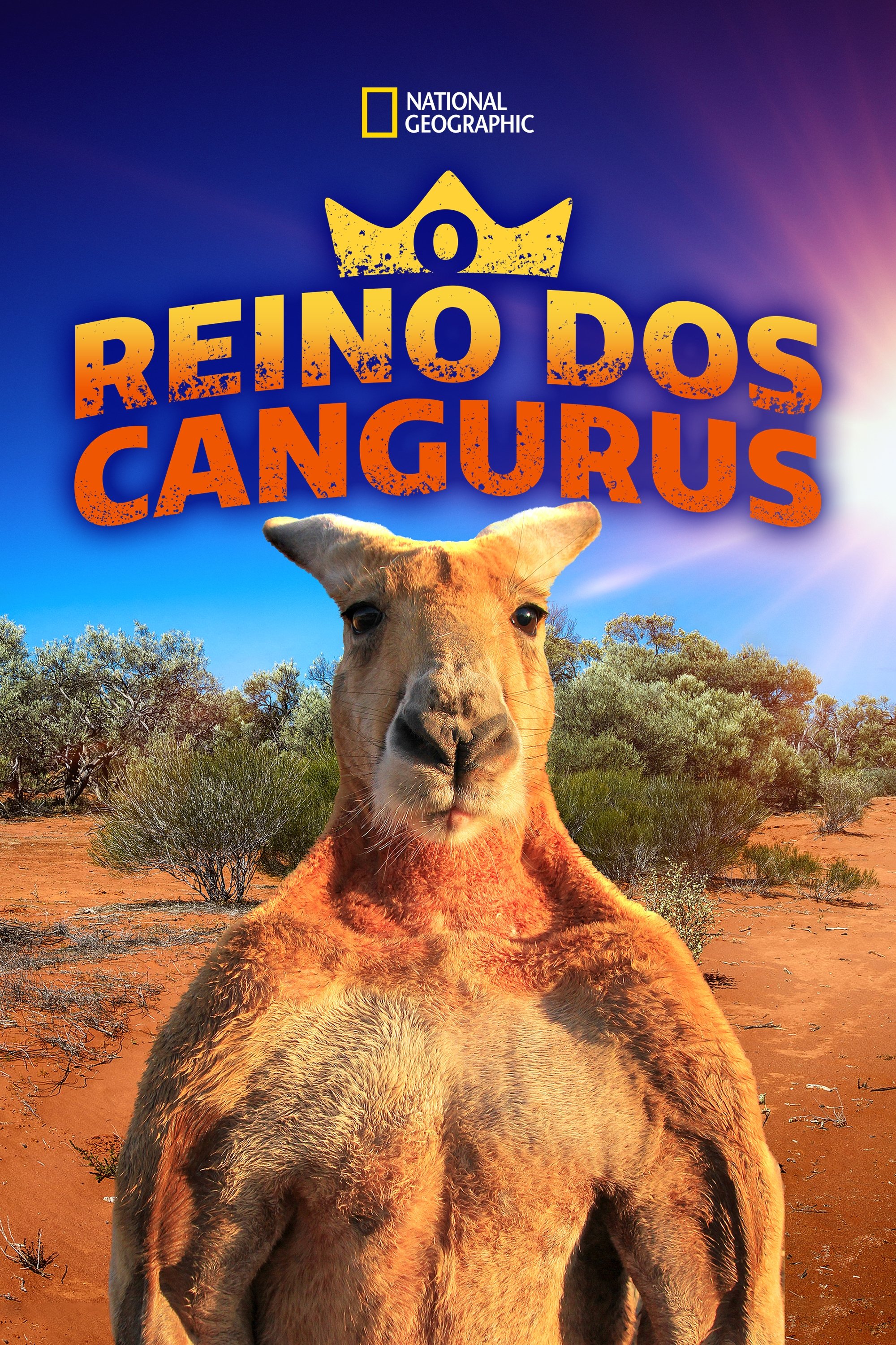 Poster de O Reino dos Cangurus