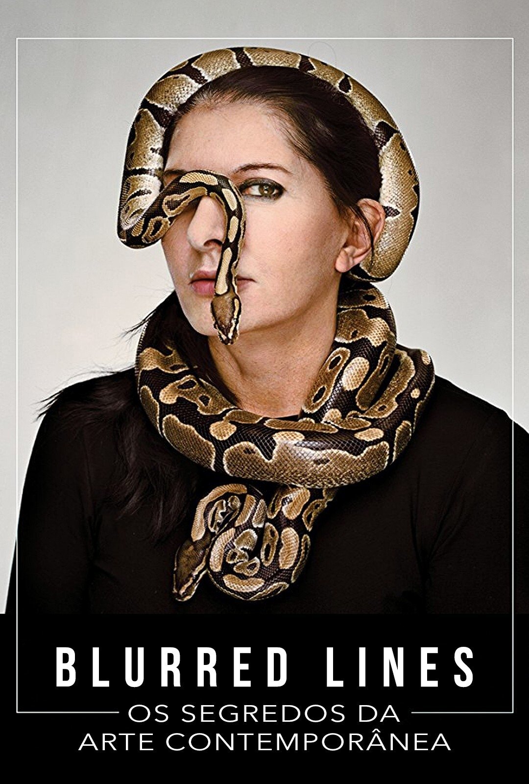 Poster de Blurred Lines: Os Segredos da Arte Contemporânea