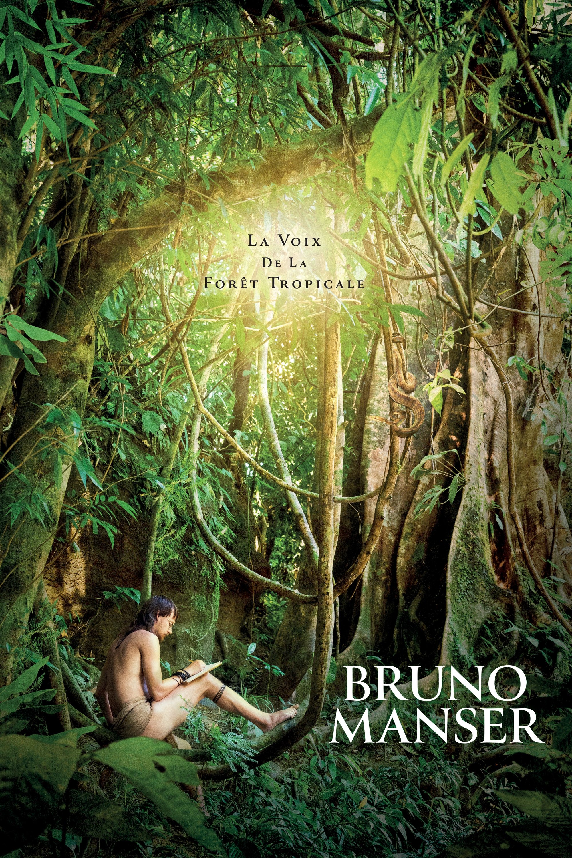 Affiche du film Bruno Manser : La Voix de la Forêt Tropicale