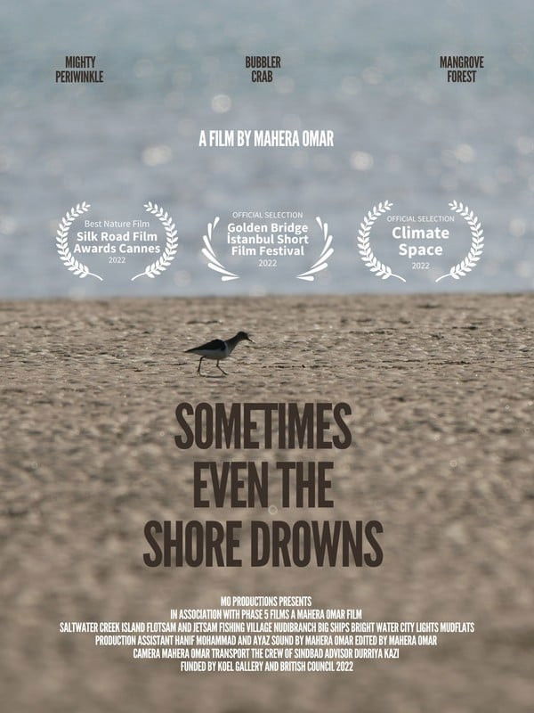 Sometimes Even the Shore Drowns