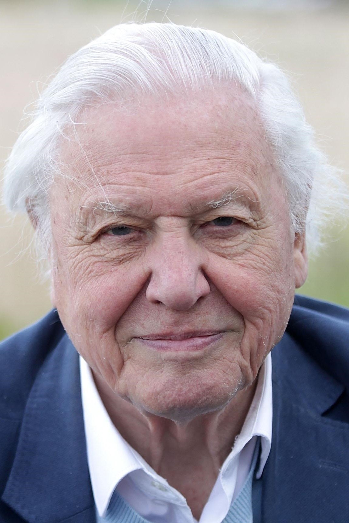 Foto de David Attenborough