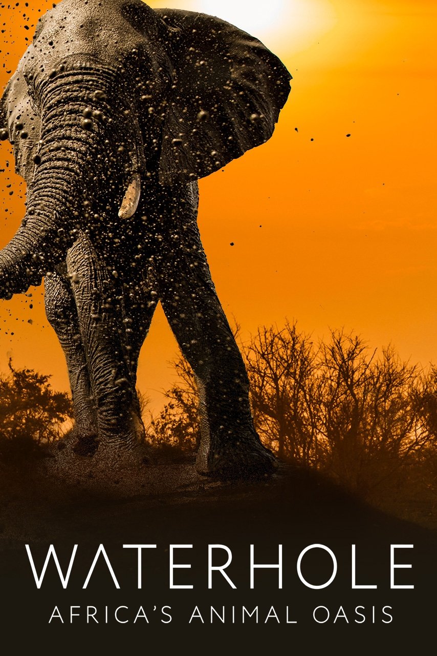 Poster de Waterhole: Africa's Animal Oasis