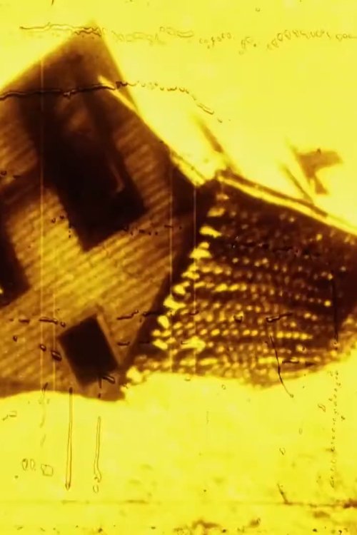 Poster de Going Back Home