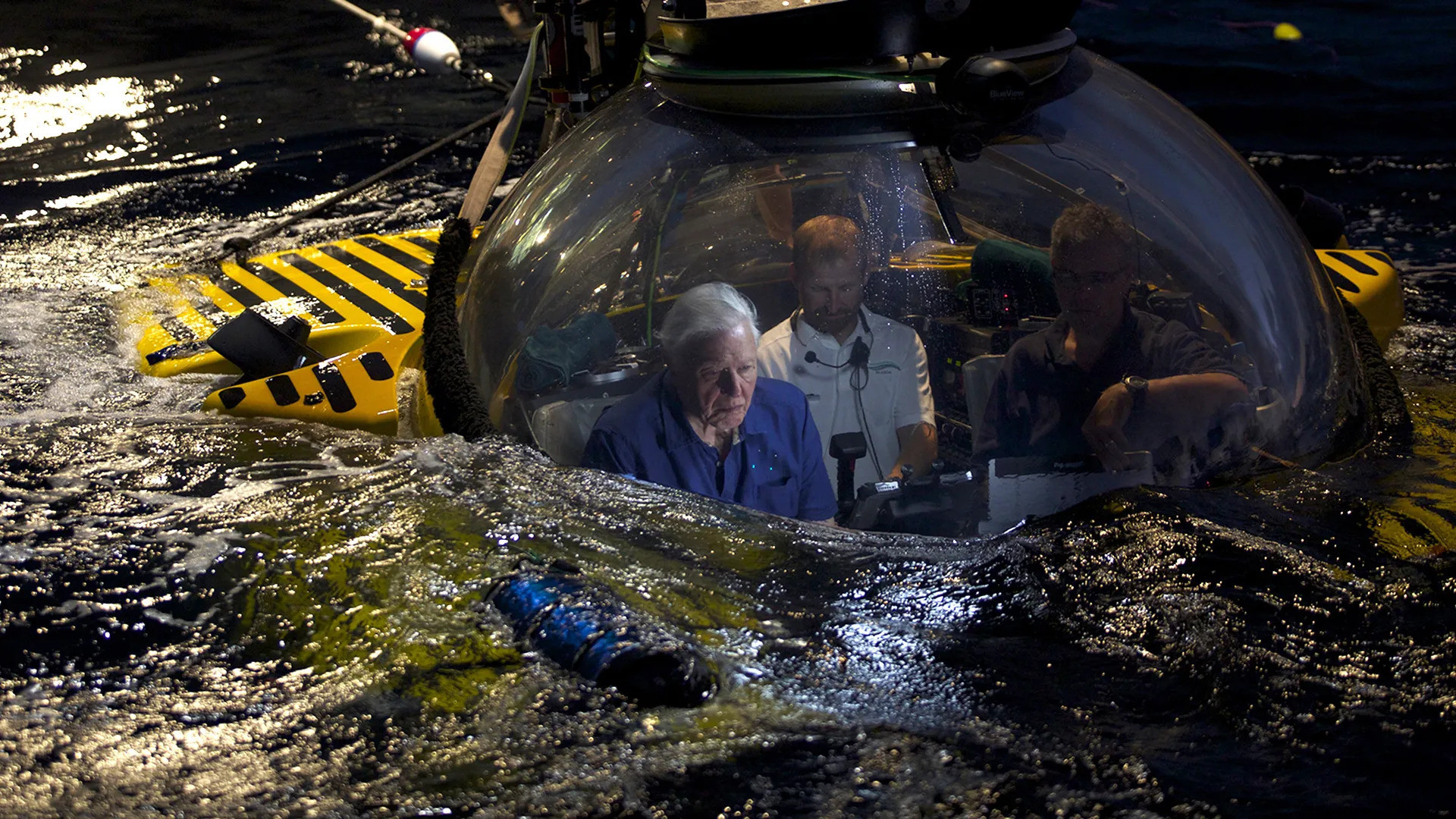 Attenborough's Global Adventure