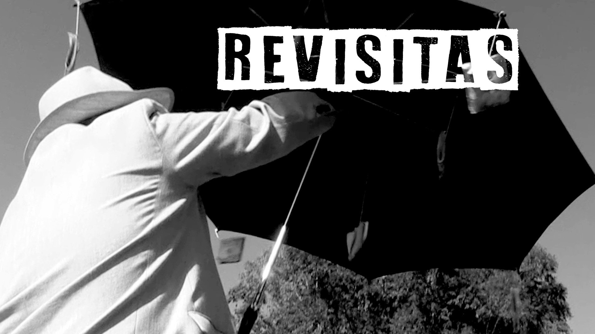 Revisitas