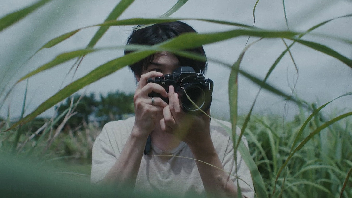 Director