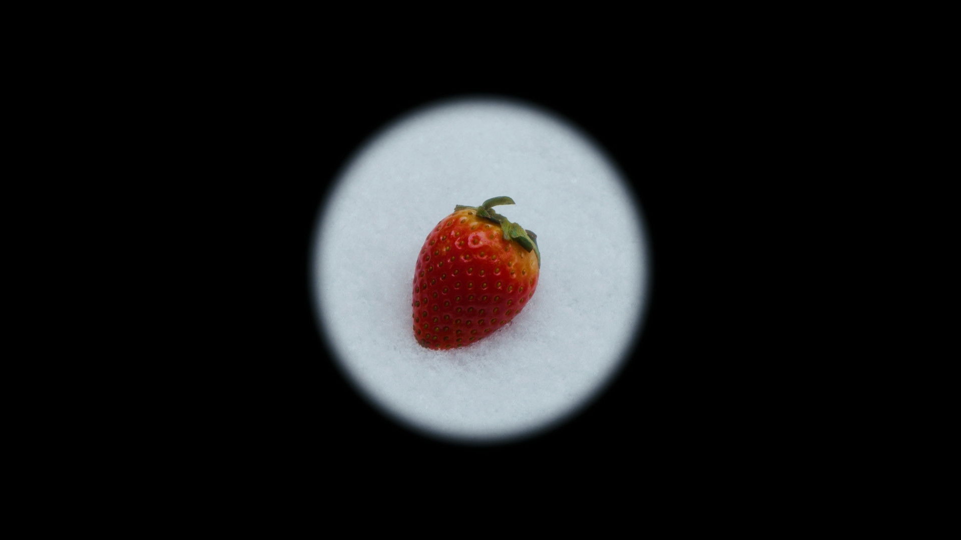 Maruška, or the Story of an Apparently Real Strawberry in Winter